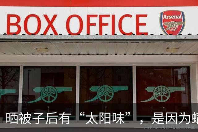 晒被子后有“太阳味”，是因为螨虫被烤焦了？科学家：太阳的功劳